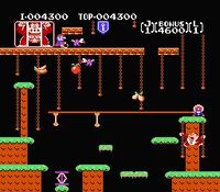 une photo d'Ã©cran de Donkey Kong Jr sur Nintendo Nes